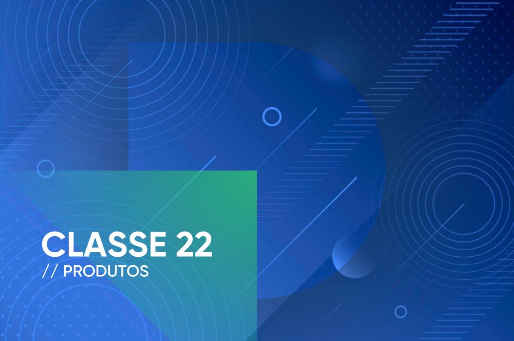 Classe : Classe 22